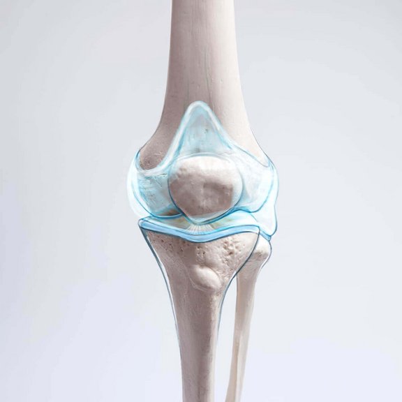 Ortho-Energy-Knorpelschaden-1.jpg