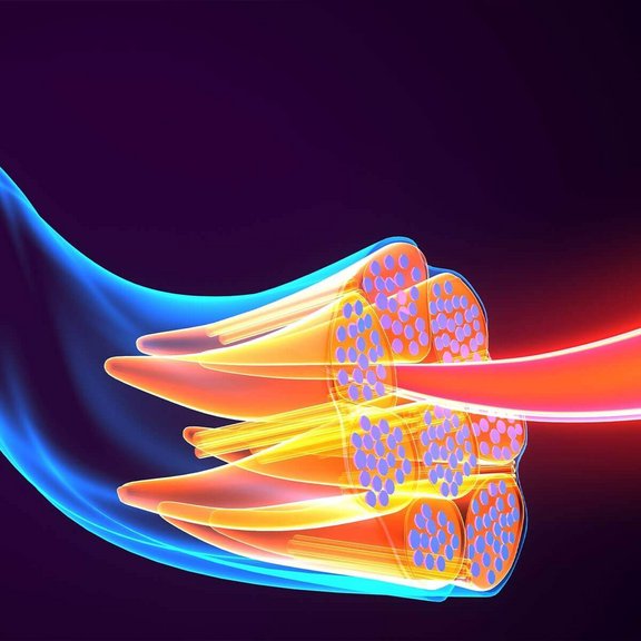 Ortho-Energy-Funktionelle-Beschwerden-1.jpg