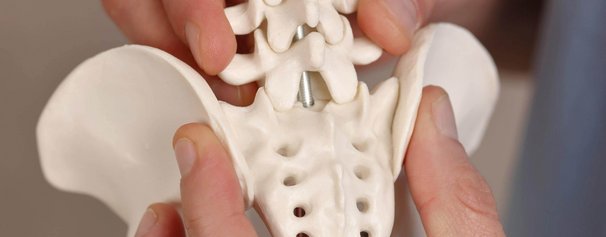 Ortho-Energy-Headerbild-Steissbein.jpg 